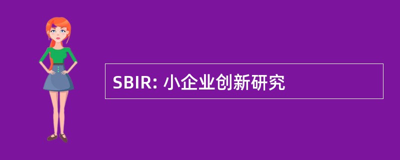 SBIR: 小企业创新研究