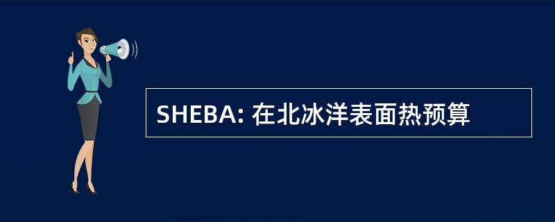 SHEBA: 在北冰洋表面热预算