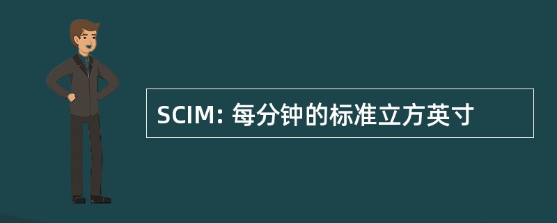 SCIM: 每分钟的标准立方英寸