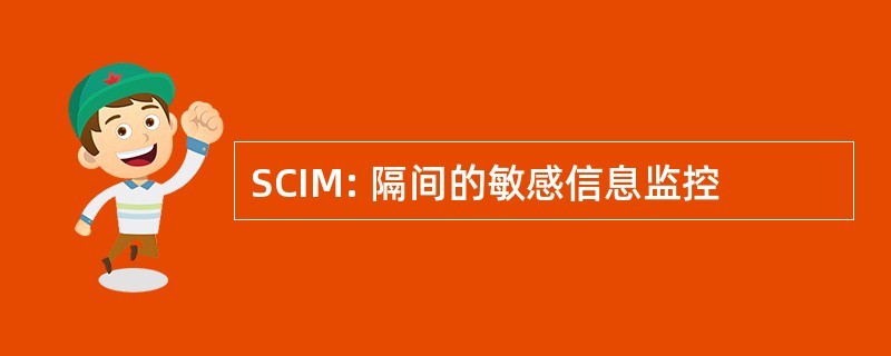 SCIM: 隔间的敏感信息监控