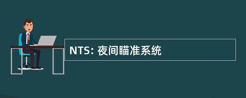 NTS: 夜间瞄准系统