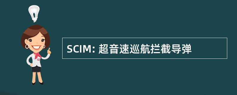 SCIM: 超音速巡航拦截导弹