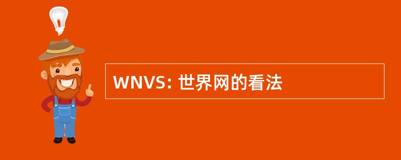 WNVS: 世界网的看法