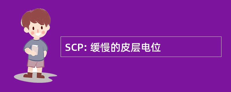 SCP: 缓慢的皮层电位