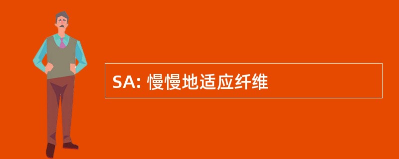 SA: 慢慢地适应纤维