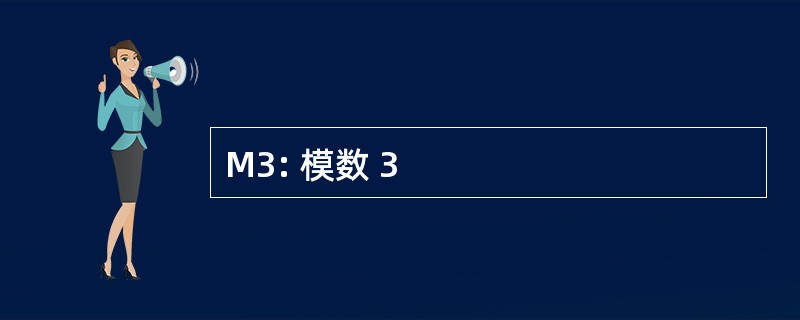 M3: 模数 3