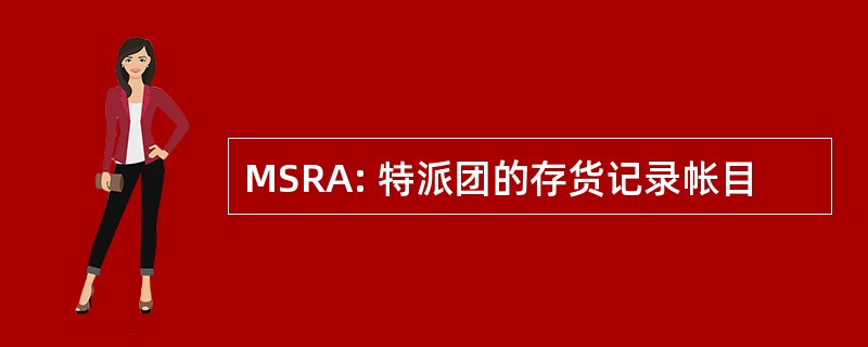 MSRA: 特派团的存货记录帐目