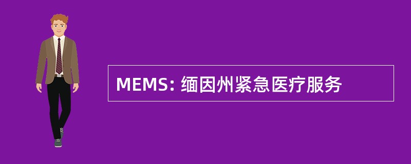 MEMS: 缅因州紧急医疗服务