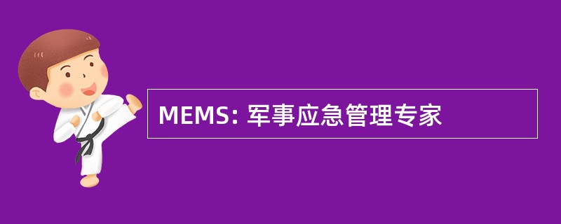 MEMS: 军事应急管理专家