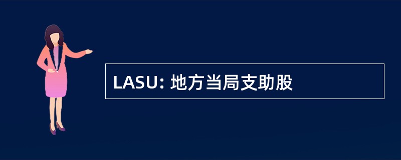 LASU: 地方当局支助股