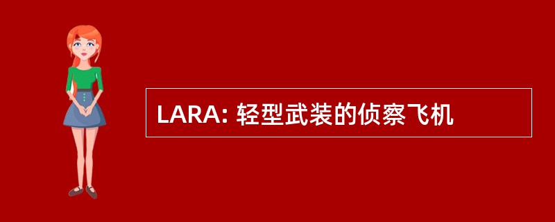 LARA: 轻型武装的侦察飞机