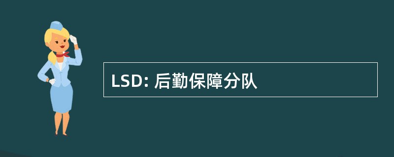 LSD: 后勤保障分队