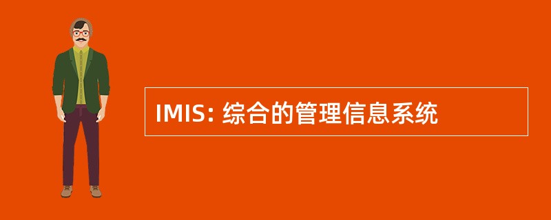 IMIS: 综合的管理信息系统