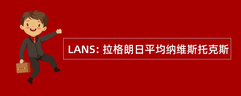 LANS: 拉格朗日平均纳维斯托克斯