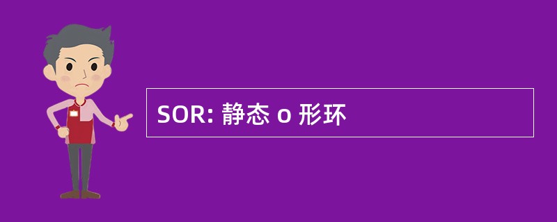 SOR: 静态 o 形环