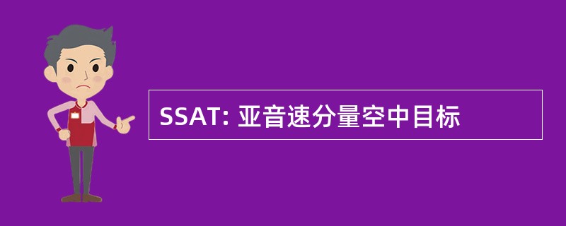 SSAT: 亚音速分量空中目标