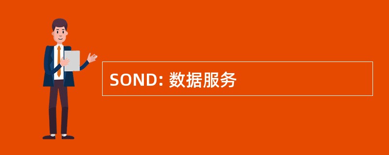 SOND: 数据服务