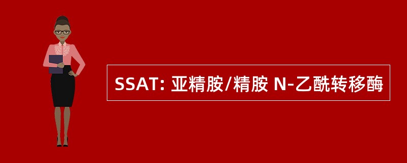 SSAT: 亚精胺/精胺 N-乙酰转移酶