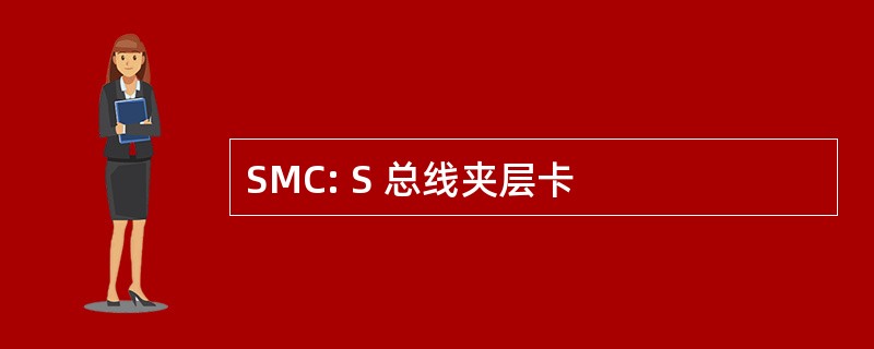 SMC: S 总线夹层卡