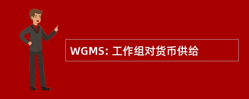 WGMS: 工作组对货币供给