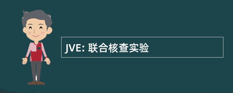 JVE: 联合核查实验