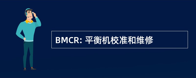 BMCR: 平衡机校准和维修