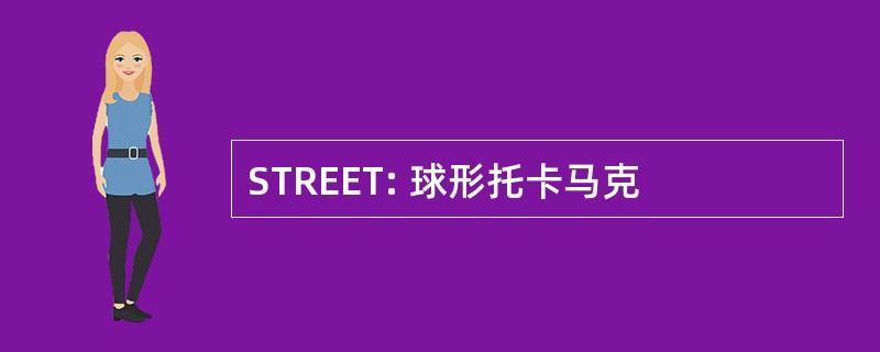 STREET: 球形托卡马克