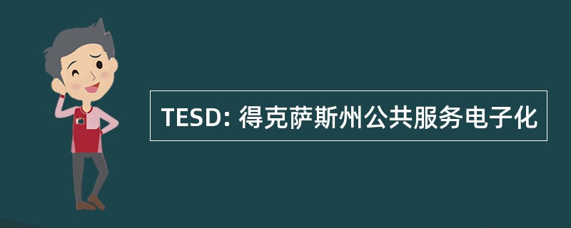 TESD: 得克萨斯州公共服务电子化