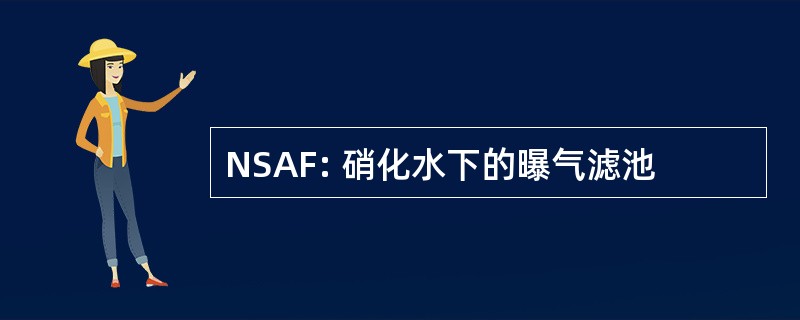 NSAF: 硝化水下的曝气滤池