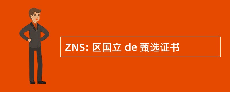 ZNS: 区国立 de 甄选证书