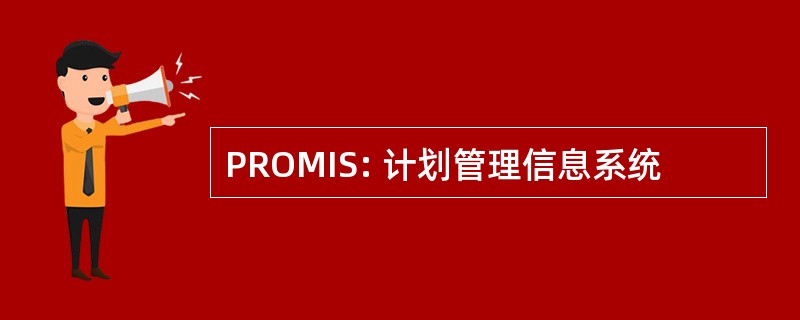 PROMIS: 计划管理信息系统