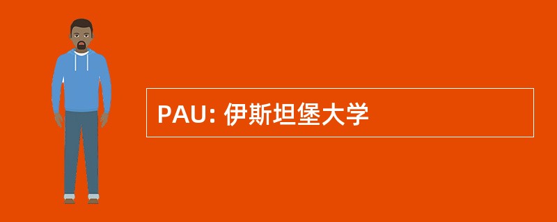 PAU: 伊斯坦堡大学