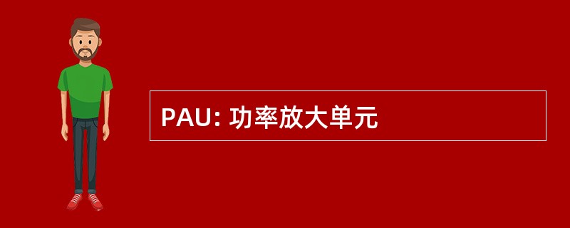 PAU: 功率放大单元