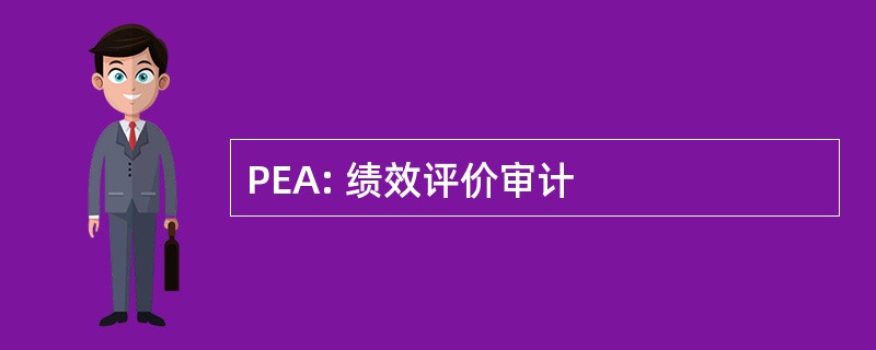 PEA: 绩效评价审计