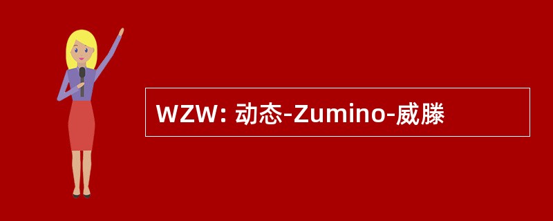 WZW: 动态-Zumino-威滕