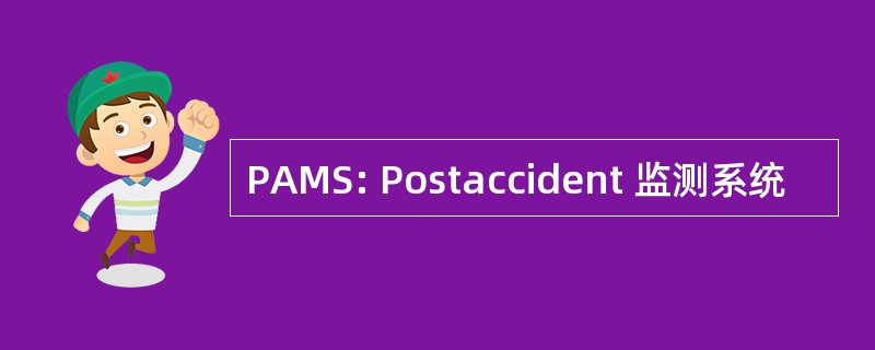 PAMS: Postaccident 监测系统