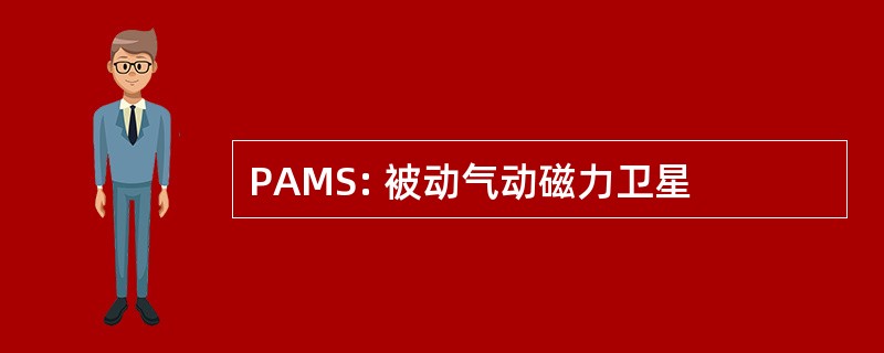 PAMS: 被动气动磁力卫星