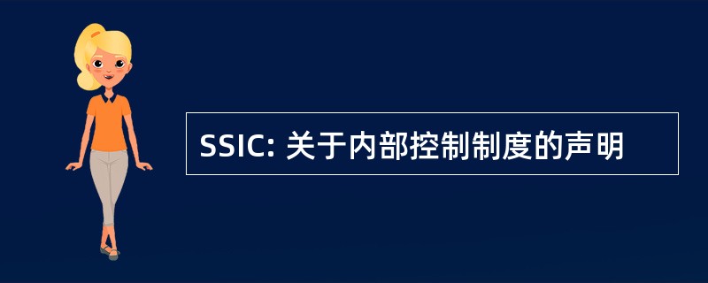 SSIC: 关于内部控制制度的声明