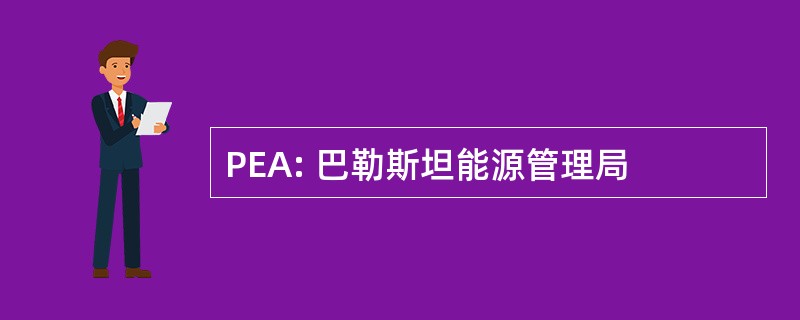 PEA: 巴勒斯坦能源管理局