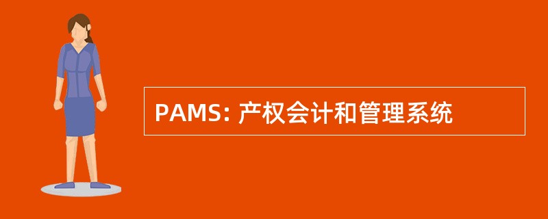 PAMS: 产权会计和管理系统