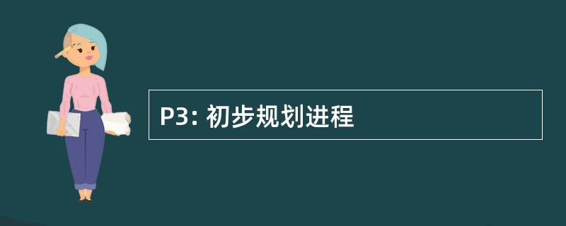 P3: 初步规划进程