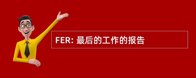 FER: 最后的工作的报告