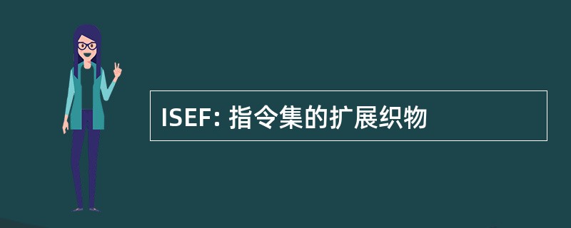 ISEF: 指令集的扩展织物