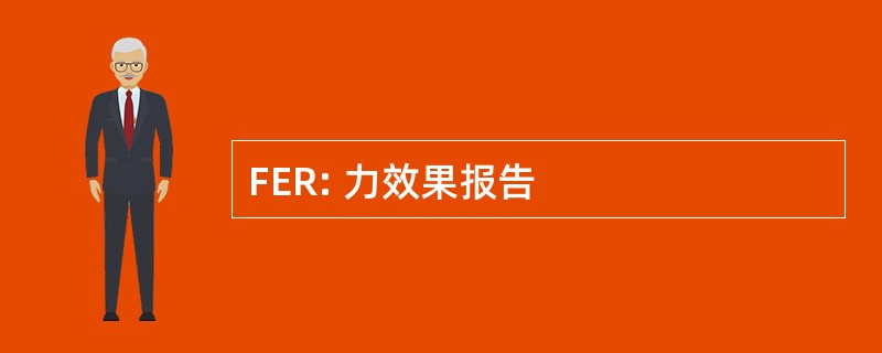 FER: 力效果报告