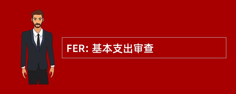 FER: 基本支出审查