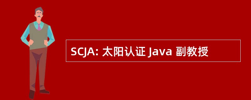 SCJA: 太阳认证 Java 副教授