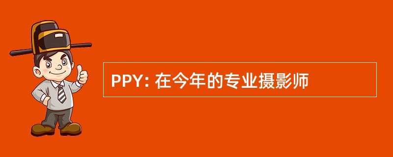 PPY: 在今年的专业摄影师