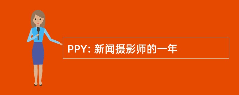 PPY: 新闻摄影师的一年