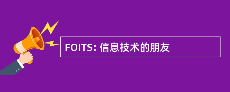 FOITS: 信息技术的朋友