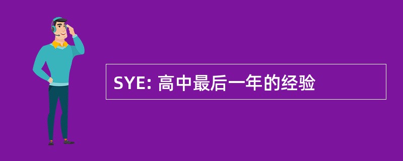 SYE: 高中最后一年的经验